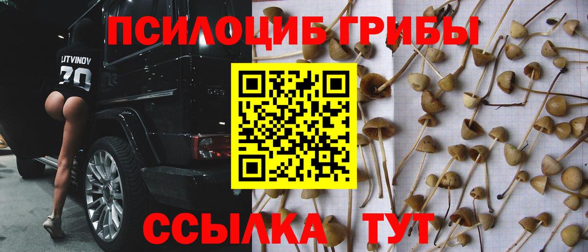 Балашов  Псилоцибиновые грибы Magic Shrooms  Вход с VPN 