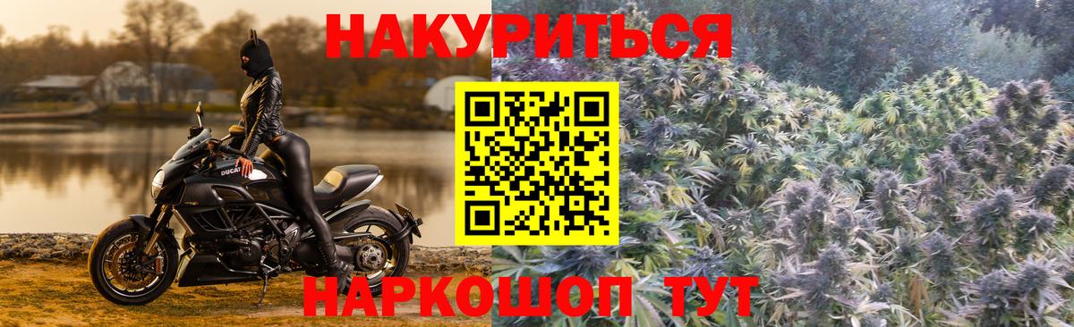 Балашов  Марихуана VHQ  Вход с VPN  Шишки марихуана Amnesia 